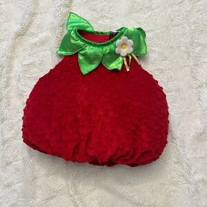 Red Strawberry Costume with Green Collar